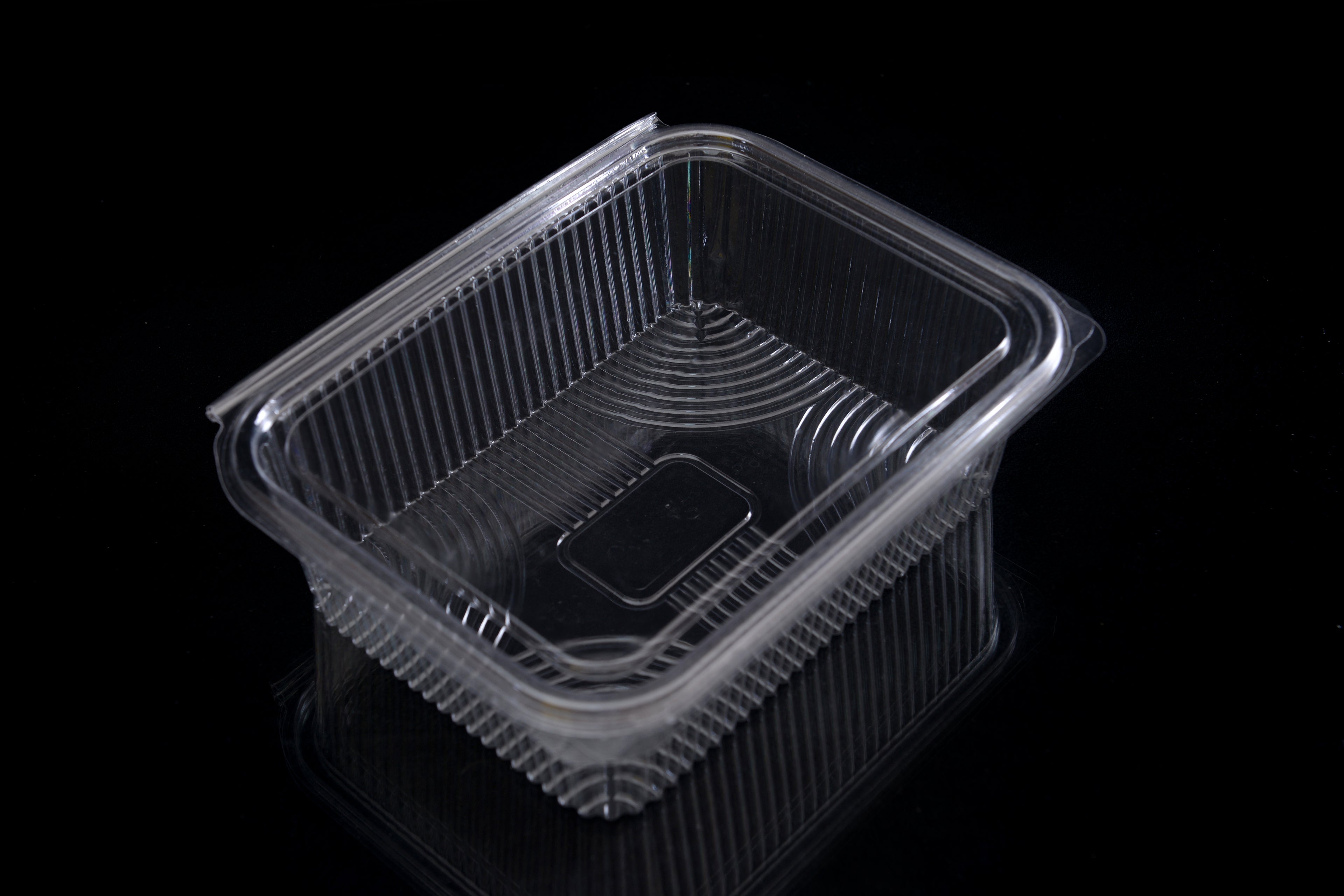PET Rectangle Hinged Containers ARZ 968-970
