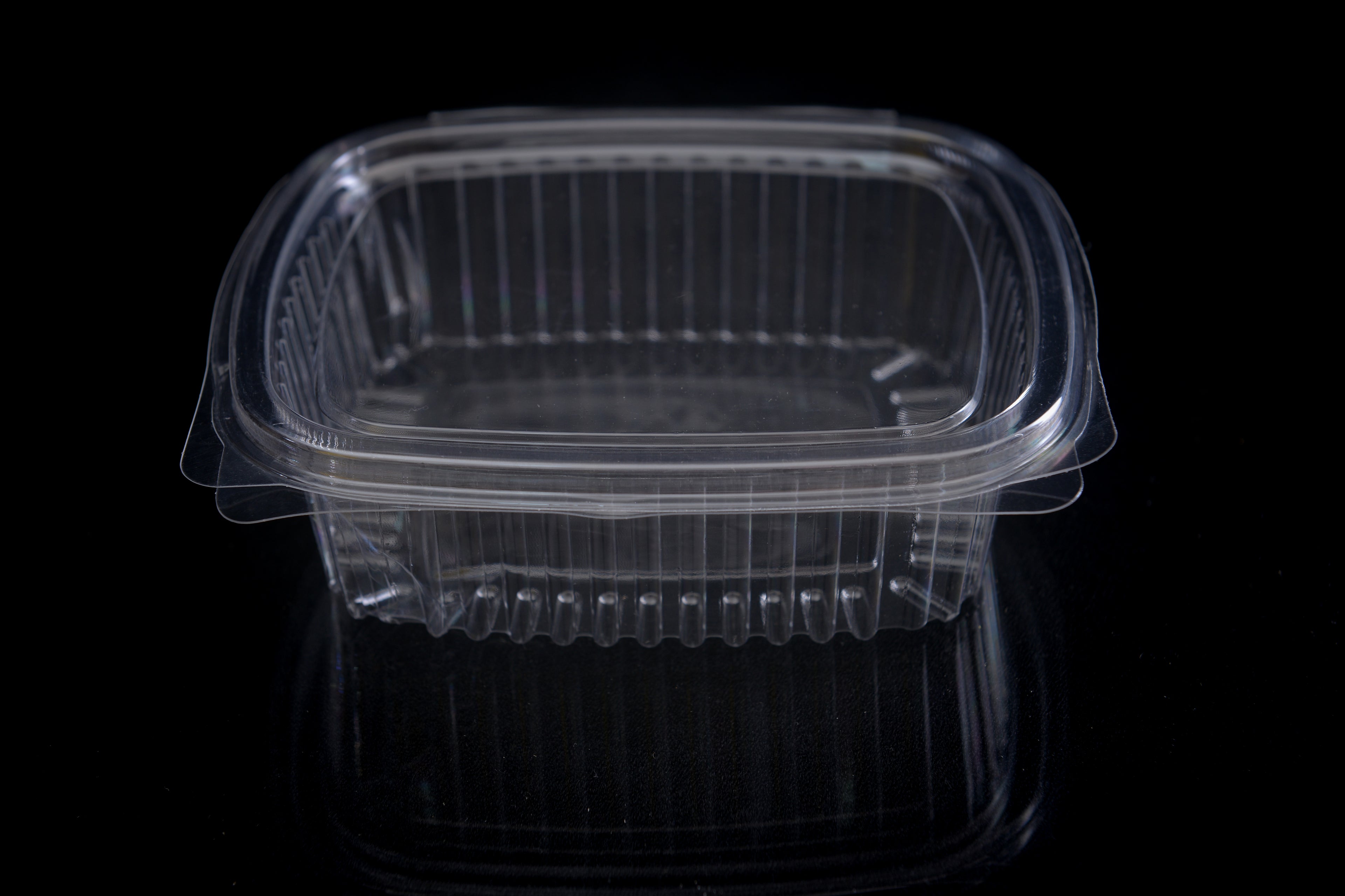 علب بلاستيك PET مستطيلة شفافة مع غطاء متصل  ARZ 916
PET Plastic Rectangle Hinged Containers ARZ 916