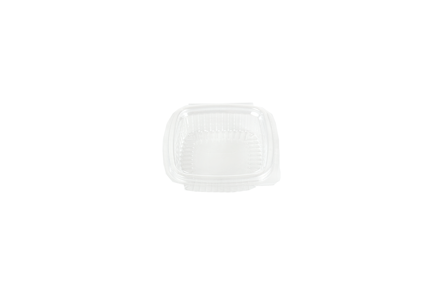 PET Square Hinged Containers ARZ 954-957
