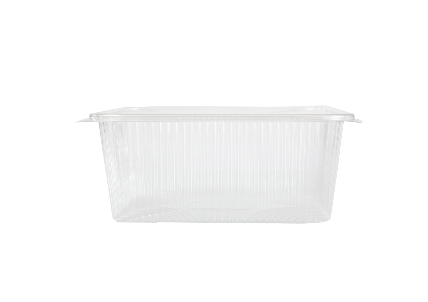 علب بلاستيك PET مستطيلة شفافة مع غطاء متصل ARZ 970
PET Plastic Rectangle Hinged Containers ARZ 970