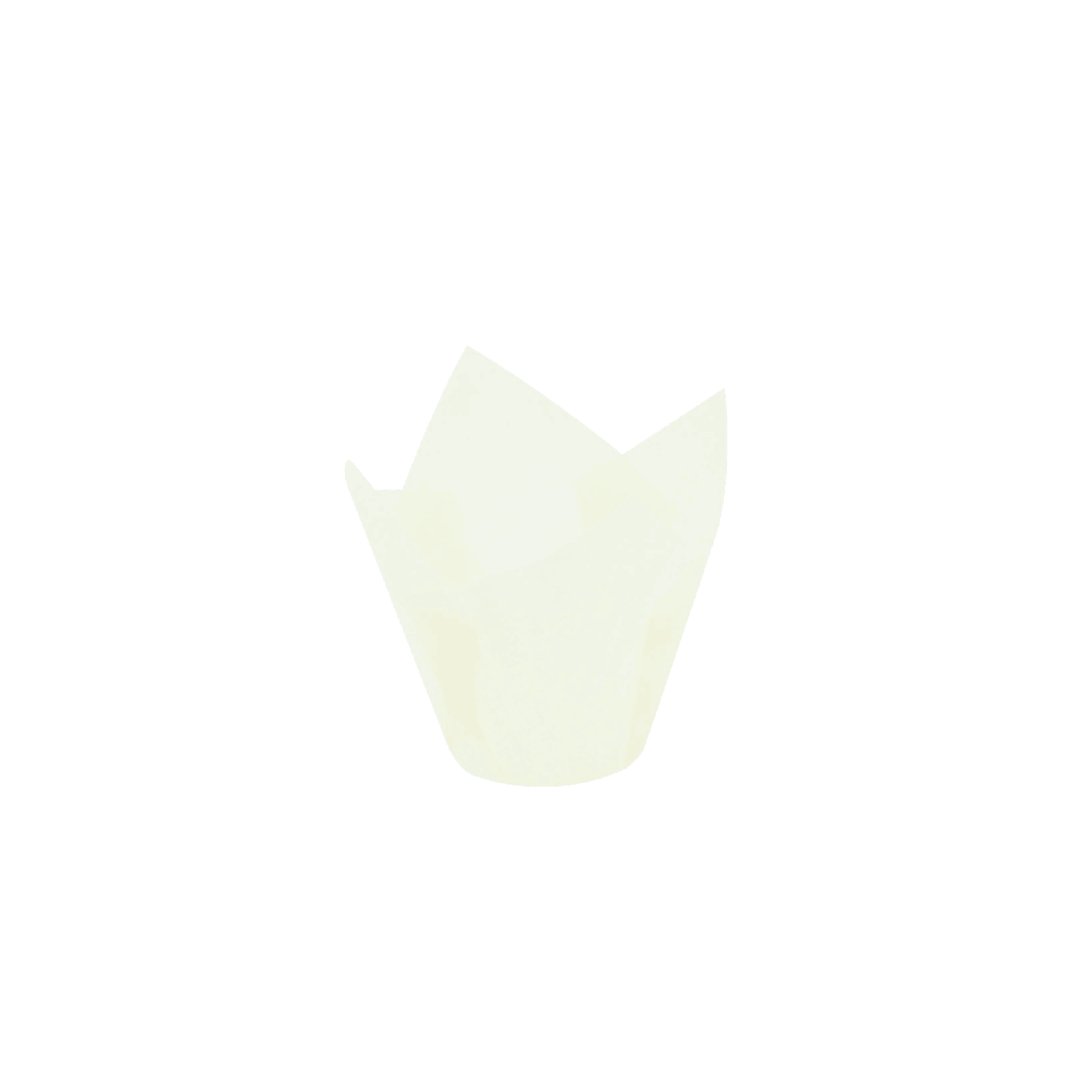 قوالب مافن بيضاء على شكل زهرة التوليب (16/17.5 سم)